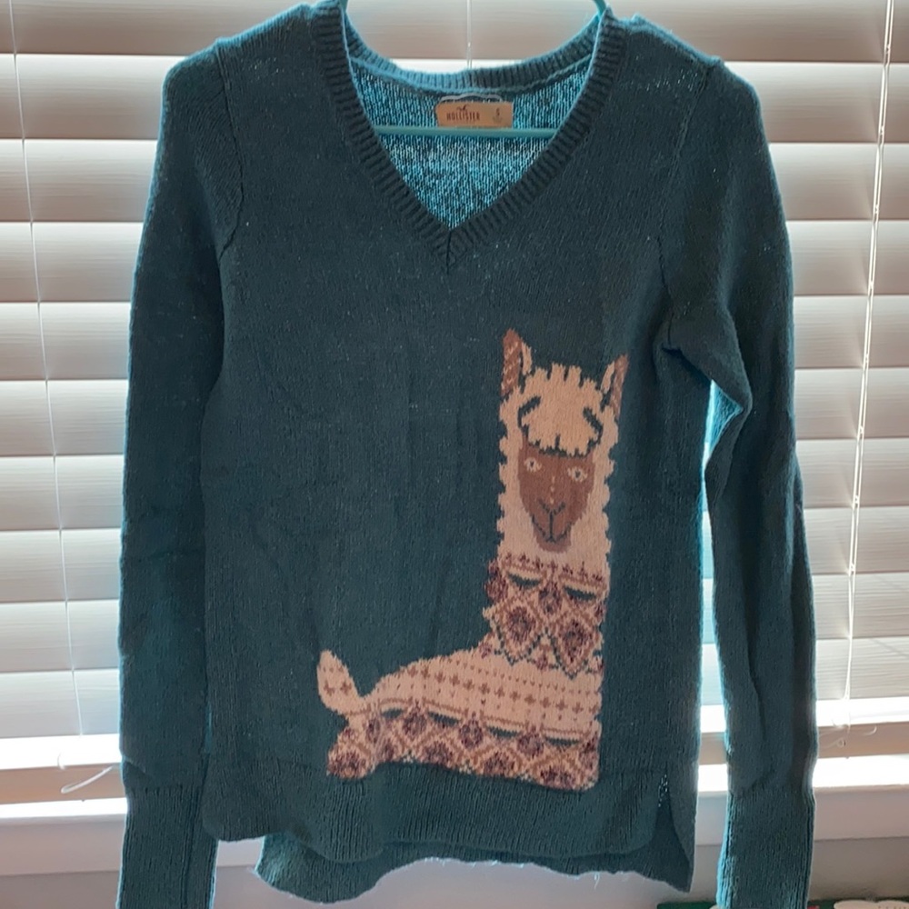 Teal Hollister Llama Sweater